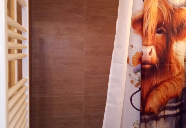 Studio in Risoul - Studio coin nuit 4 couchages CHAMOIS 22 Studio in Risoul - Studio coin nuit 4 couchages CHAMOIS 22