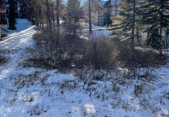 Studio in Risoul - Studio cabine 4 couchages CHAMOIS 111 Studio in Risoul - Studio cabine 4 couchages CHAMOIS 111