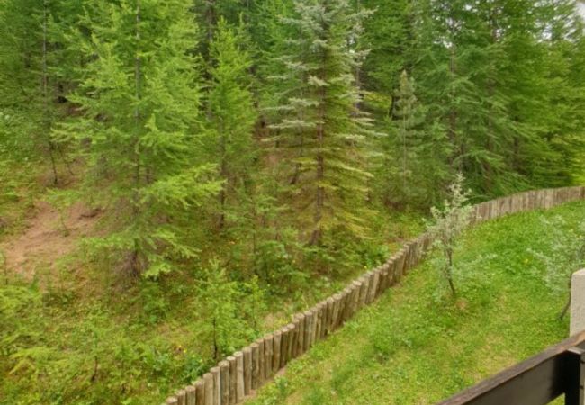 Studio in Risoul - Studio coin nuit 4 couchages DIAMANT C 67 Studio in Risoul - Studio coin nuit 4 couchages DIAMANT C 67