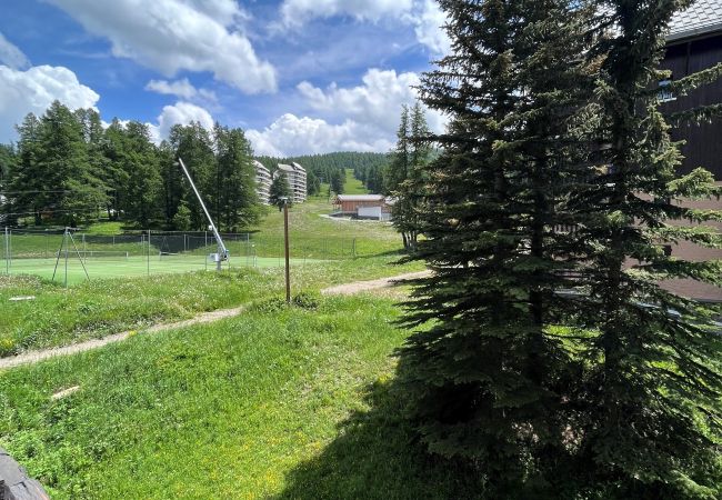 Studio in Risoul - Studio coin nuit 4 couchages VILLARET II 32 Studio in Risoul - Studio coin nuit 4 couchages VILLARET II 32