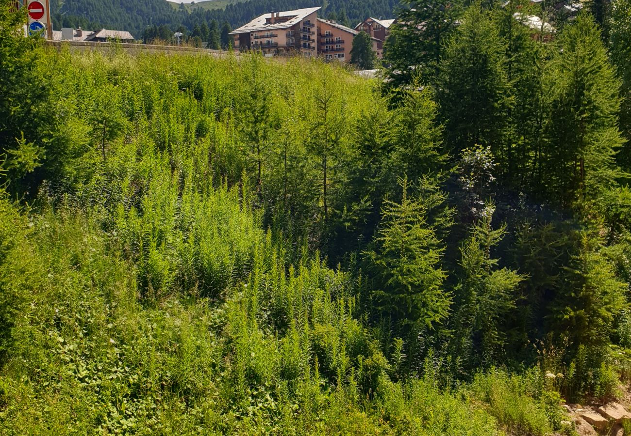 Appartement, Risoul, vacances-au-ski, century-21, Belvédère