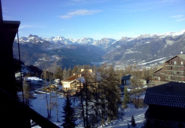 Studio à Risoul - Studio cabine 4 couchages CLEMATITES B 67 Studio à Risoul - Studio cabine 4 couchages CLEMATITES B 67