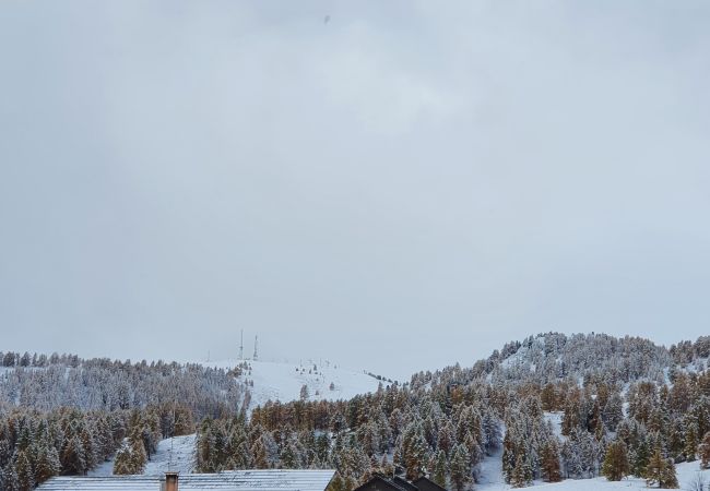 Studio à Risoul - Studio cabine 4 couchages EDELWEISS A 50 Studio à Risoul - Studio cabine 4 couchages EDELWEISS A 50